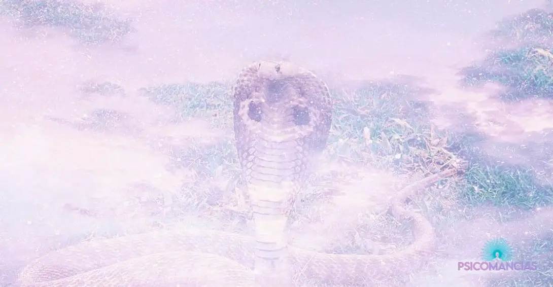 Significado espiritual de la Cobra