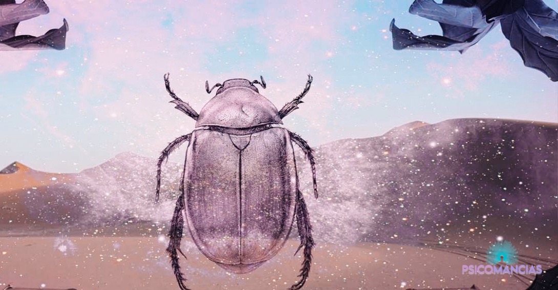 soñar con un Escarabajo
