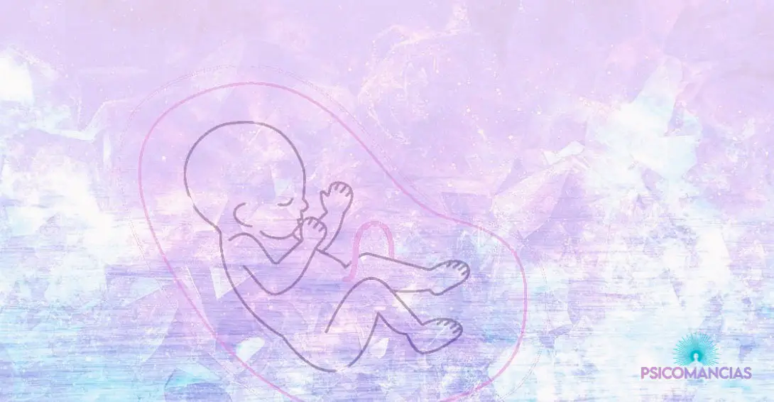 soñar con un Feto o un Embrión