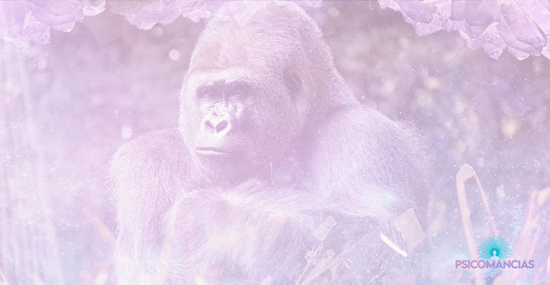 soñar con un Gorila