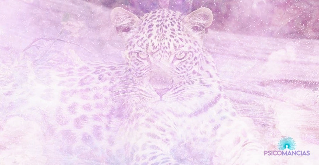 soñar con un Leopardo