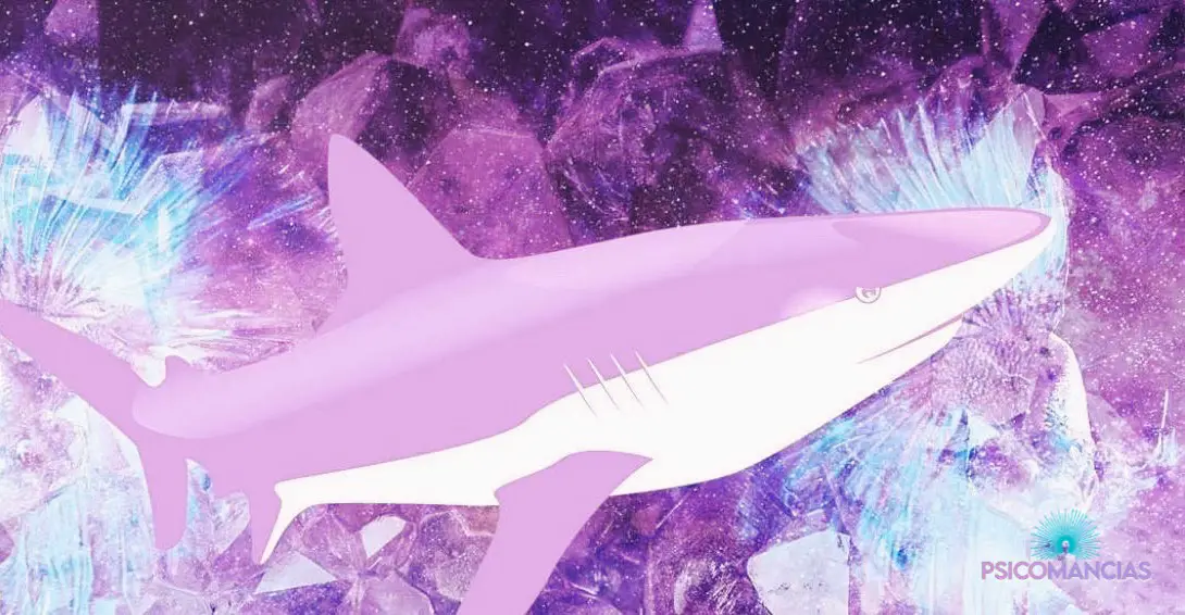 soñar con un Tiburón