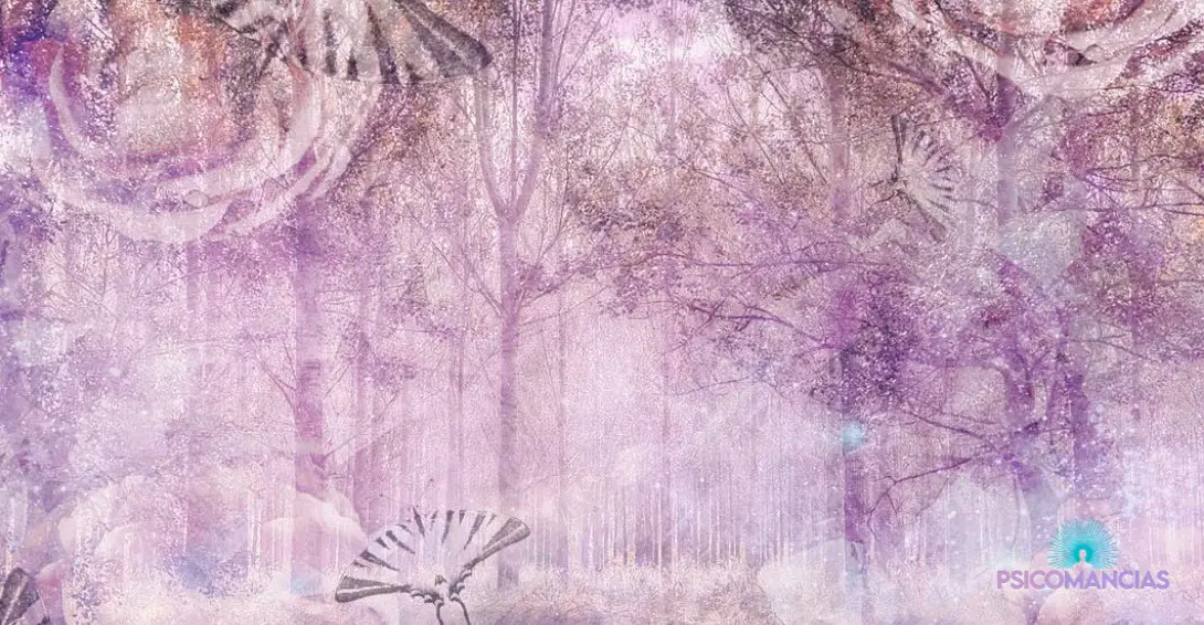 El significado espiritual del bosque