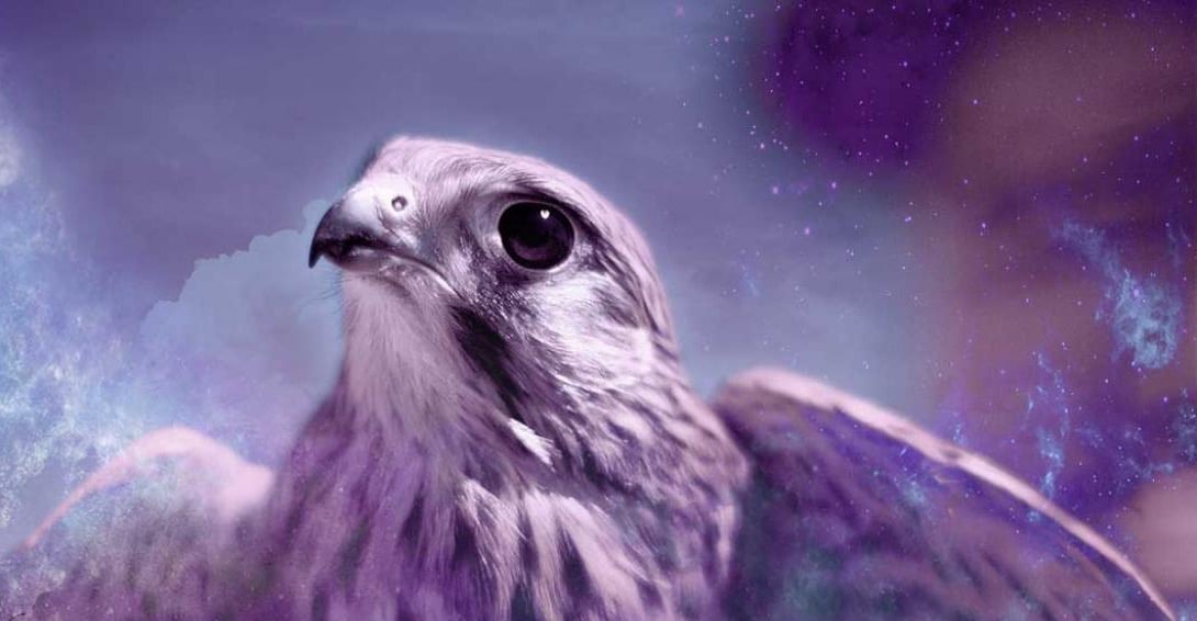 Significado espiritual de los halcones